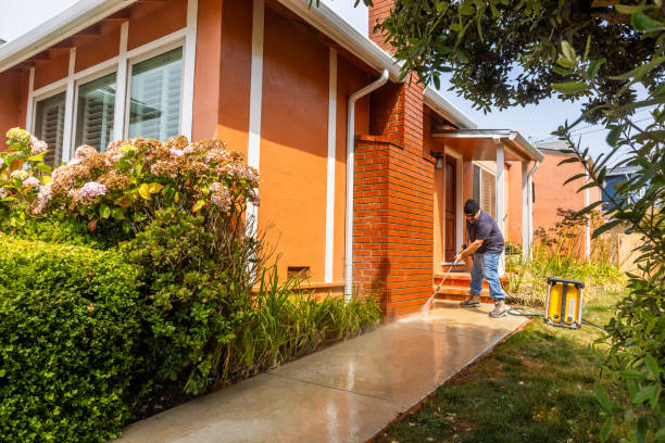 Best Best Pressure Washing Companies  in Willamina, OR