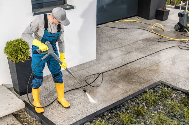 Best Roof Pressure Washing  in Willamina, OR